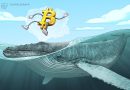 Satoshi-era Bitcoin wakes after 16 years of dormancy as 600 BTC moves